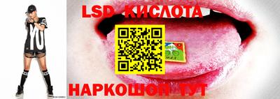 PSILOCYBIN Малоярославец