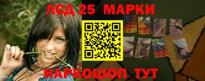 PSILOCYBIN Малоярославец